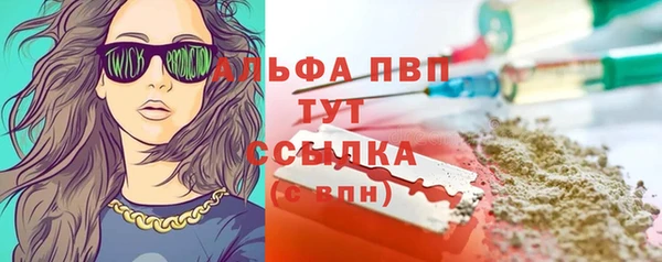 СК Абинск